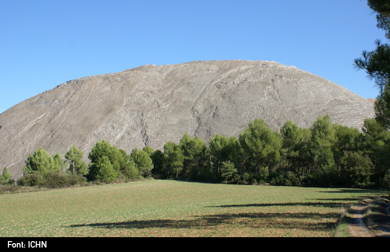 Cogulló